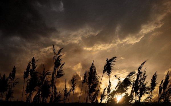 Тоскливый пейзаж