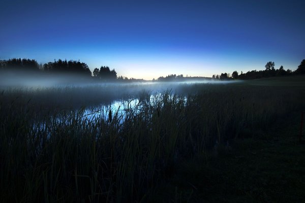 Дорога никуда