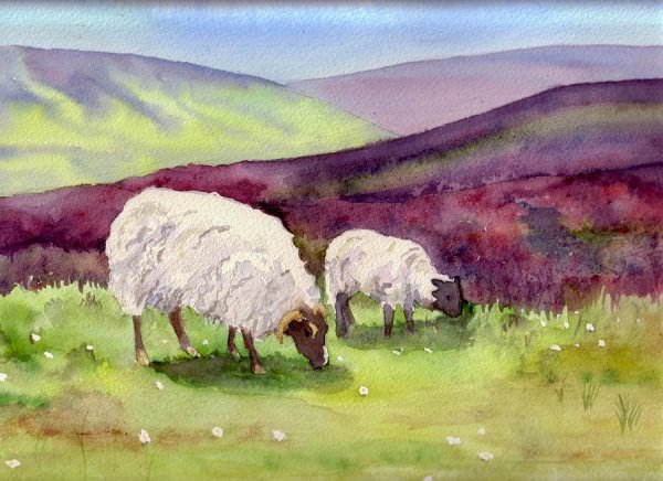 Пейзаж с овечками