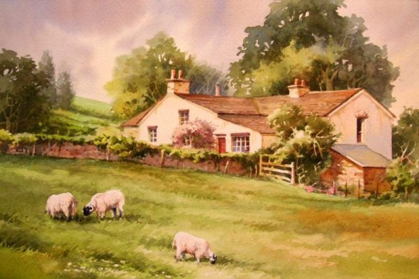 Овцы живопись