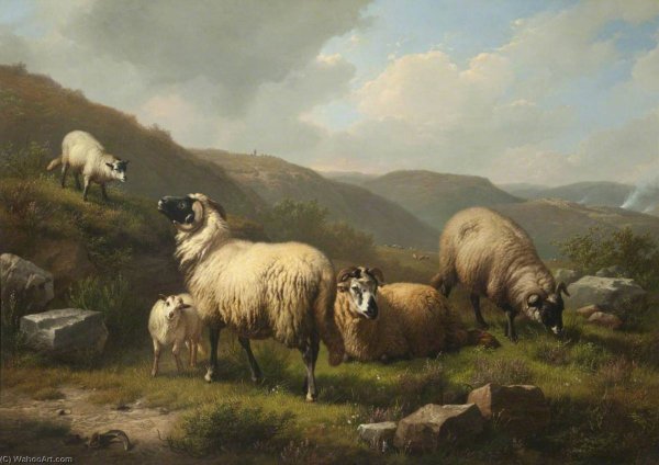 Пейзаж с овечками