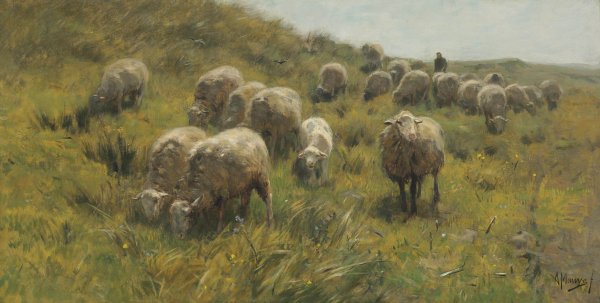 Уильям Хант картины овцы