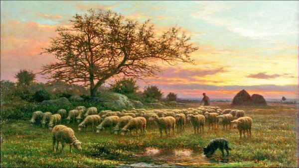 Поле с баранами