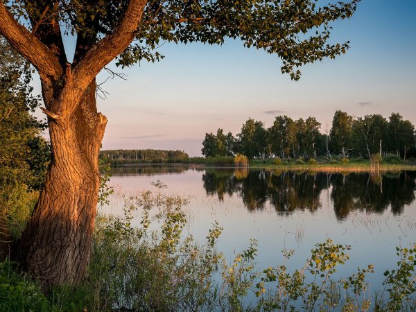 Курганская область Тобол