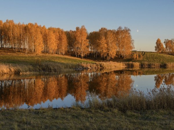 Природа Зауралья Курганская область