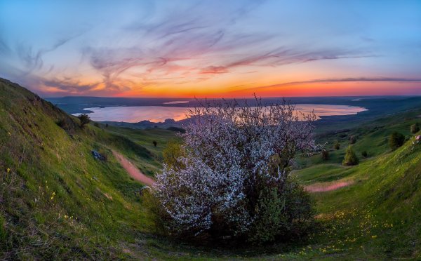 Курганская природа Курганской области