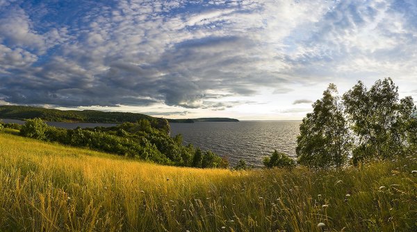 Природа Кургана и Курганской области