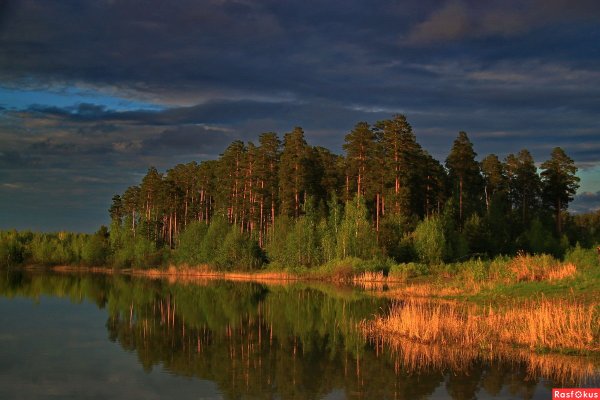 Озеро Лесное Курганская область