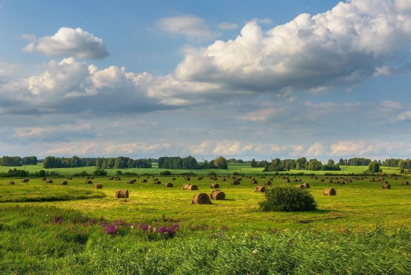 Зауралье Курган природа