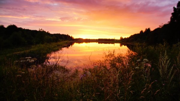 Природа Южного Зауралья Курган