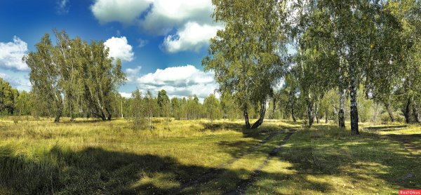 Горы в Курганской области