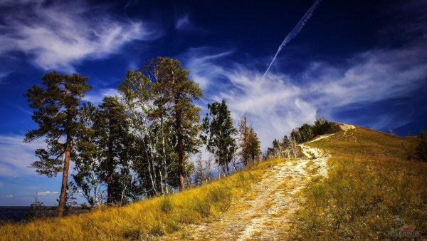 Природа Зауралья Курганская область