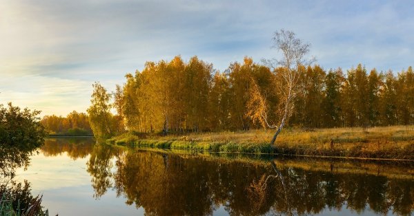 Зауралье Курганская область