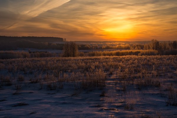 Мыльниковский Бор Шадринского района