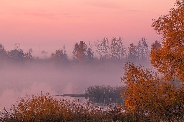 Природа Зауралья Курганская область