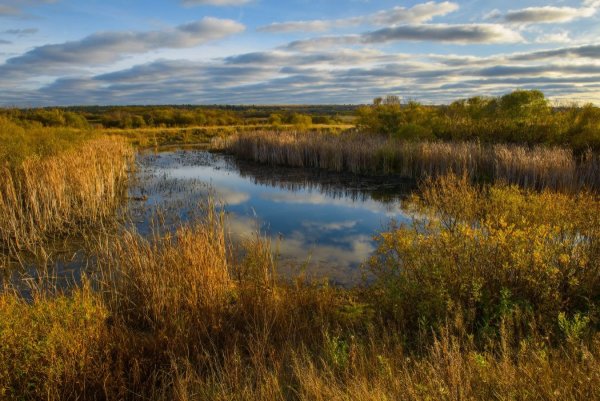 Озеро горькое Курганская область Куртамышский район