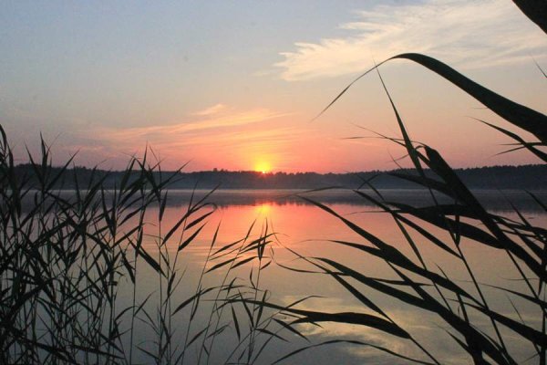 Река Исеть Шадринск