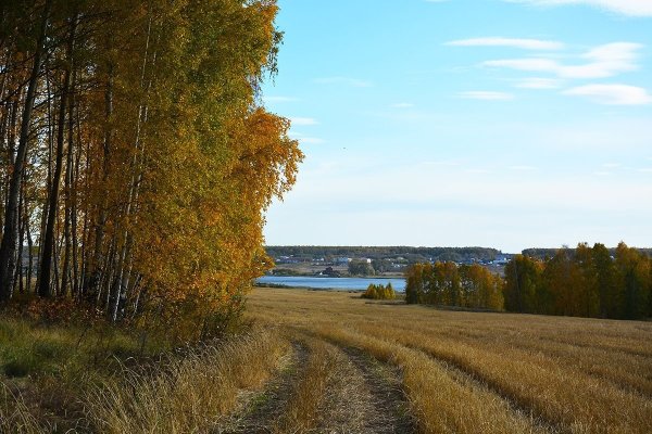 Природа Зауралья Курганская область