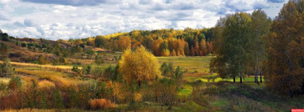 Природа Курганской области