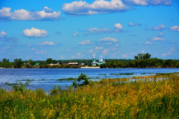 Поля Курганской области