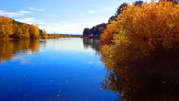 Альменево Курганская область