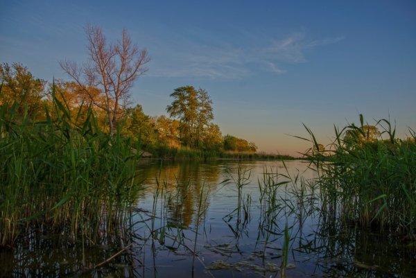 Курганская природа Курганской области