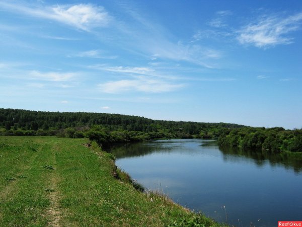 Природа Кургана и Курганской области