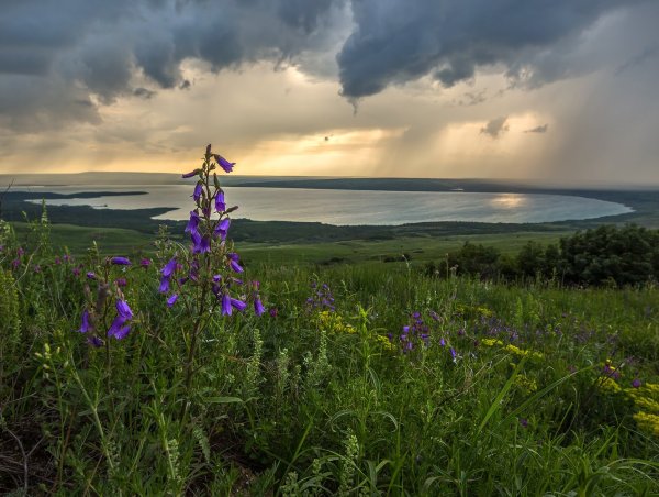 Озеро черное Курганская область