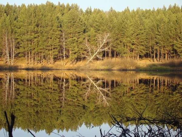 Зауралье Курган природа