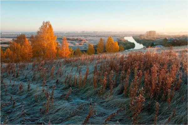 Курганская область пейзажи природы Курганская область