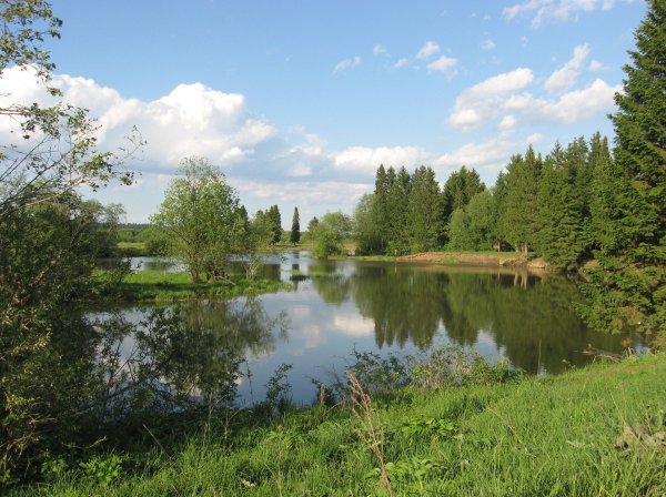 Родной край Курганская область