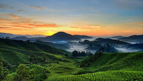 Кэмерон Хайлендс Малайзия