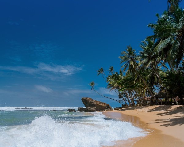 Остров бакарди Доминикана