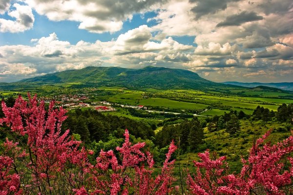 Весна в Болгарии