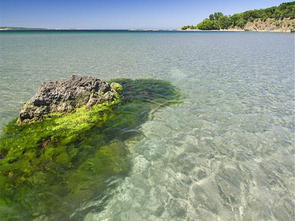 Красивая природа море Болгарии