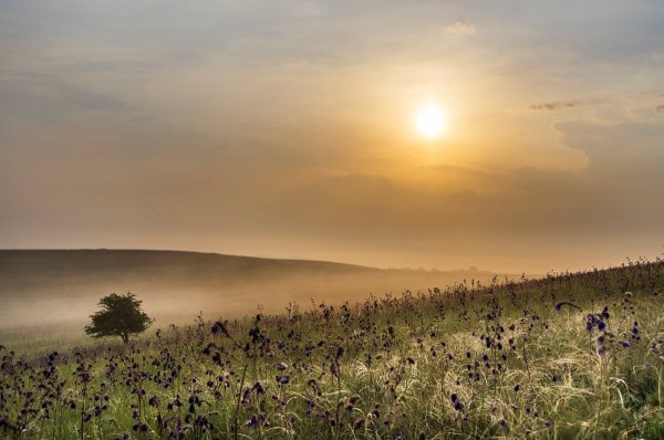 Степи Донецкой области