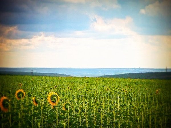 Луганск природа