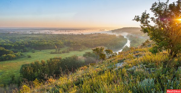 Донецкая область природа