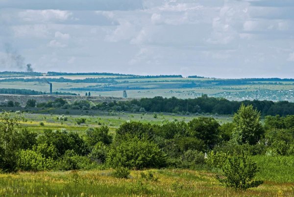 Степи Луганской области