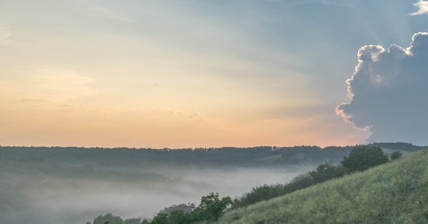 Степи Донбасса