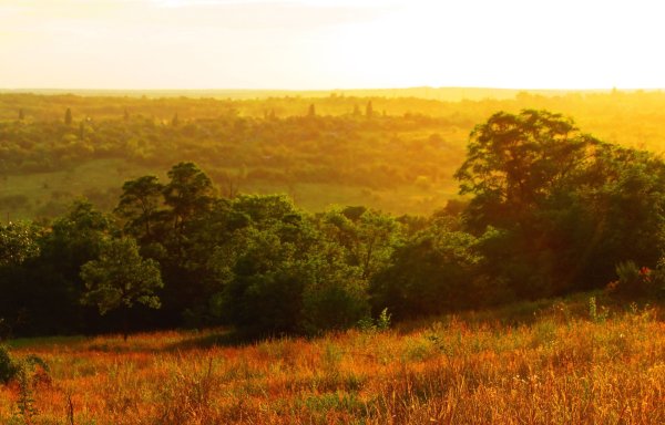 Степи Луганской области