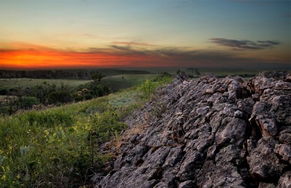 Природа Луганской области