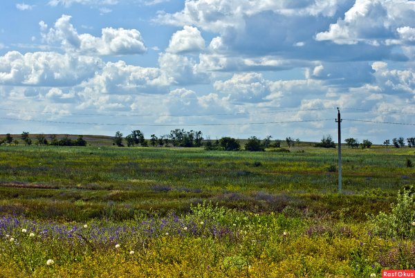 Степи Луганщины