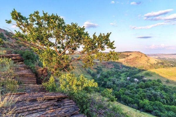 Провальская степь (Ростовская область)