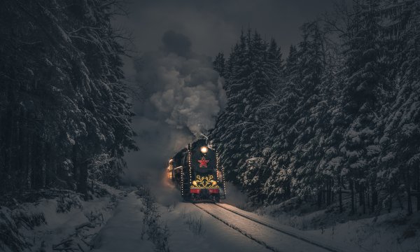 Паровоз Рускеальский экспресс