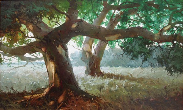 Художник пейзажист Москва Виктор Быков