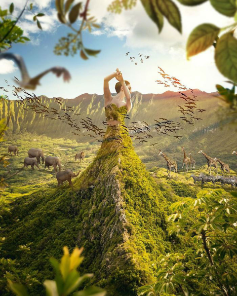 Мартейн Схрейвер