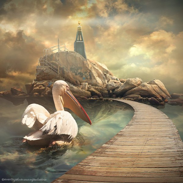 Фантастические морские пейзажи