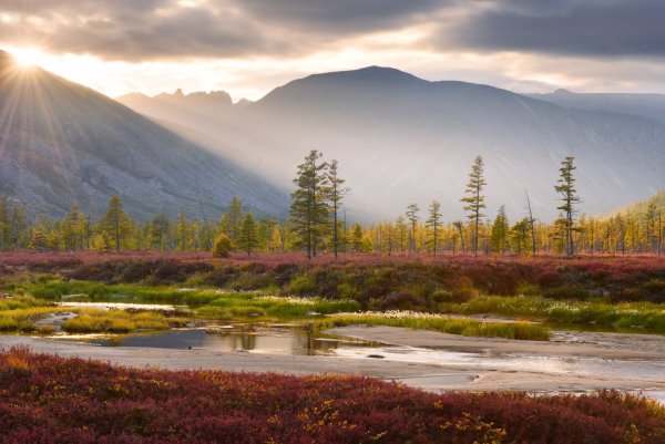 Колыма озеро Джека Лондона