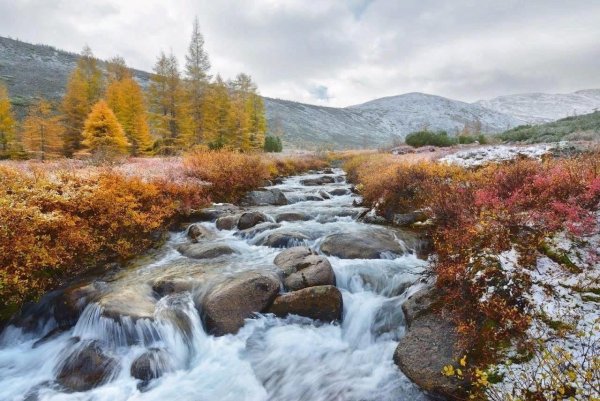 Ручей корейский Магадан